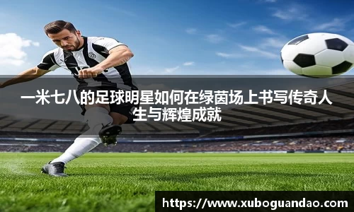 一米七八的足球明星如何在绿茵场上书写传奇人生与辉煌成就